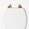 Mayfair Bennett Toilet Seat with Brushed Gold Hinges, Slow Close
