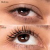 The Honest Company Extreme length mascara y primer, 0.20 Fl
