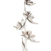Vickerman 5-6' White Wash Star Pod Stalk, 1 Stalk, Dried