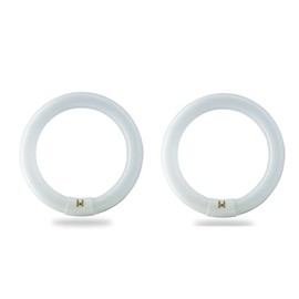 BULBMASTER FC8T9/CW 22 Watt 8 Inch Round T9 Fluorescent Circular Light Bulb, Cool White 4100K, 1120 Lumens G10Q 4-Pin Base 22W Circline Ceiling Lights Pack of 2