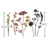 Sizzix Sizzi Thinlits Dies by Tim Holtz-Wildflowers, Other, Multi-Colour, 0.38x13.97x19.05