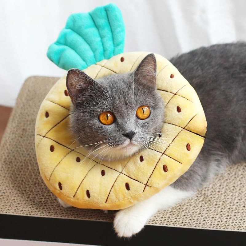 MeowMate Elizabeth Collar Cat Small Dog Pineapple Shape Pet Supplies