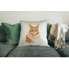 Hippowarehouse Maine Coon Ginger Cat Printed accessory cushion 41x41cm