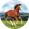 Trendware Wild Horse Paper Plates, 24 Count