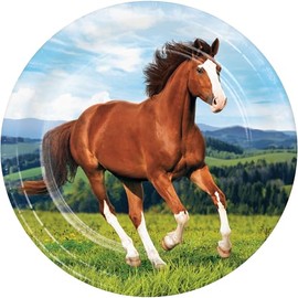 Trendware Wild Horse Paper Plates, 24 Count