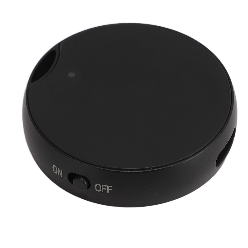 Magnetic Voice Recorder DSP Noise Reduction Long Recording Time Timestamp