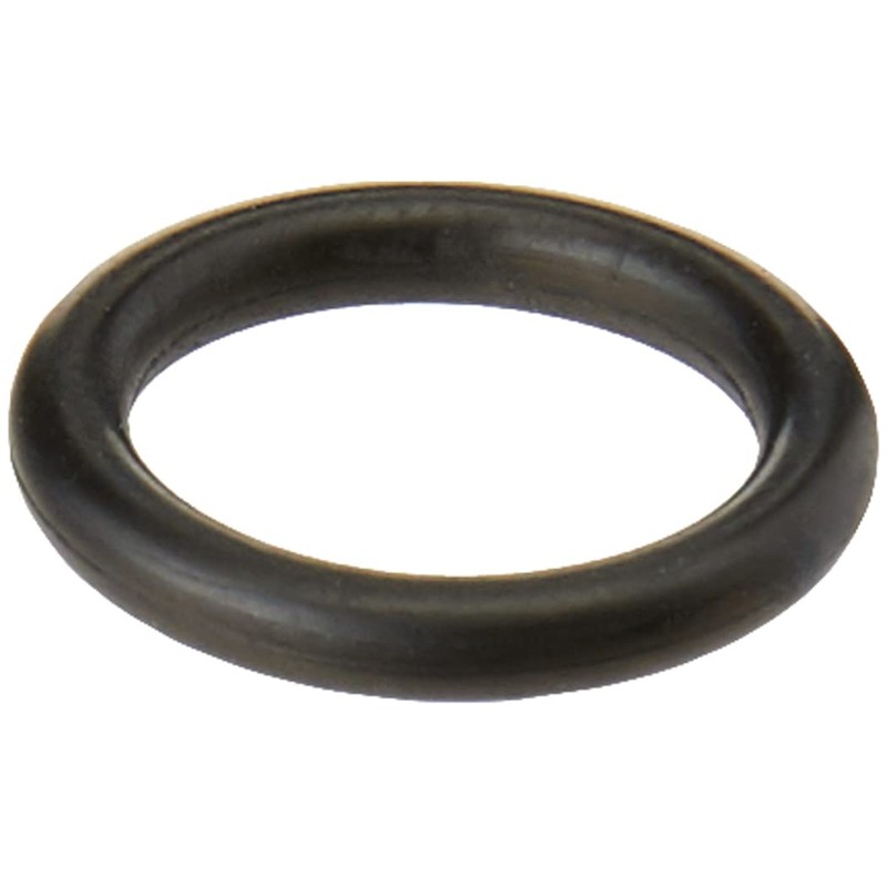 Karcher O-Ring
