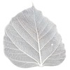 100 Pcs Bodhi Leaf Translucent Leaves Pho Bodhi Tree Veined