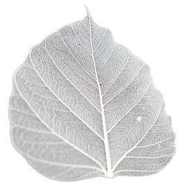 100 Pcs Bodhi Leaf Translucent Leaves Pho Bodhi Tree Veined Leaf Natural Laced Leaves Scrapbooking Craft Card Wedding (4.5-5.4 in. Natural Color)