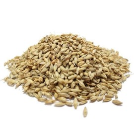 국내산 볶은 보리(맥아) 500g Domestic Roasted Barley (Malt) 500g