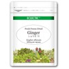Exctic Ginger Eco Pack 395mg x 15 Capsules ec110