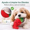 PUBAMALL Juguetes para Perros de Entrenamiento Molar, Set de 12