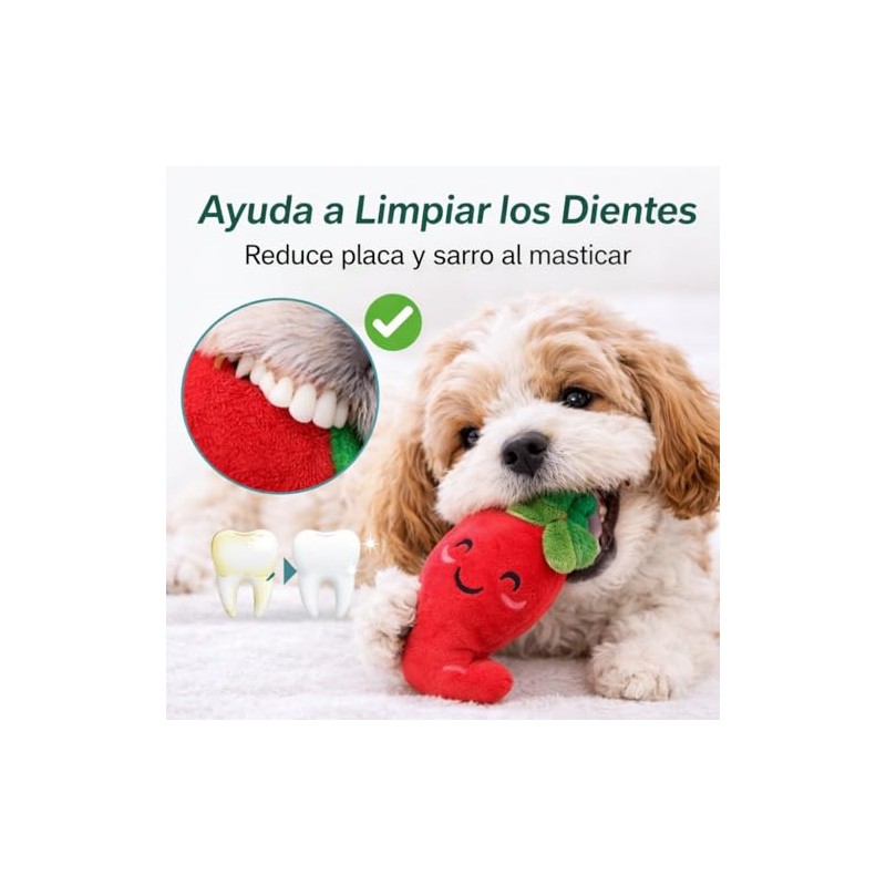 PUBAMALL Juguetes para Perros de Entrenamiento Molar, Set de 12