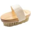 Ana Wiz™ Wooden Body Brush with Medium Natural Boar Bristles,