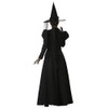 InCharacter Wretched Witch Adult Costume, Small Black