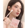 Daisique [데이지크] 블랜딩 무드 치크 11종 (택1) [Daisy Q] Blending Mood Cheek 11 Types (Choose 1)