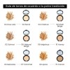 Polvo Traslúcido Bissú Maquillaje Natural Ligero