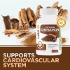 eXplicit Supplements Ceylon Cinnamon 1200mg - 60 Capsules - 30