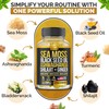 Sea Moss, Black Seed Oil, Ashwagandha, Ginger, Shilajit Gummies with