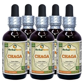 Chaga (Inonotus Obliquus) Tincture, Dried Whole Mushroom Liquid Extract (Brand Name: HerbalTerra, Proudly Made in USA) 5x2 fl.oz (5x60 ml)