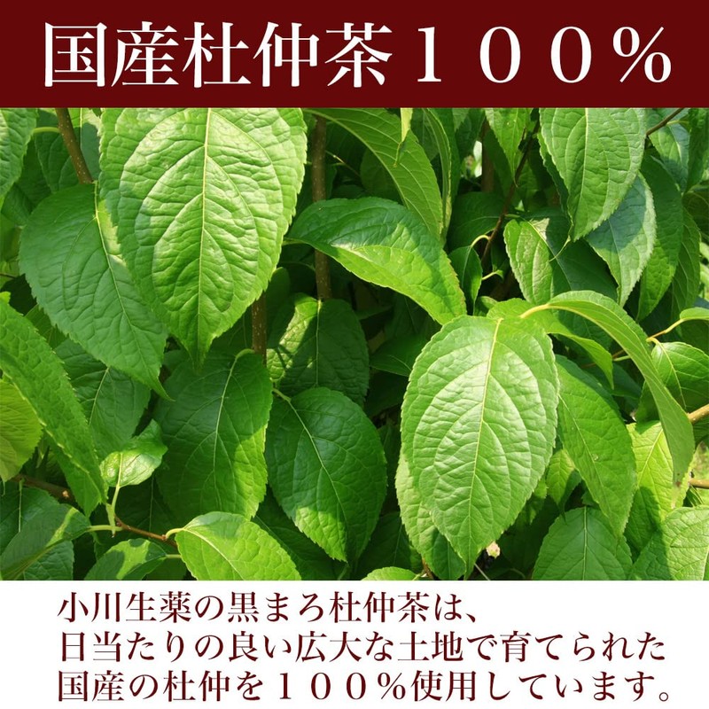 Domestic Black Marrot Dicha Tea, 0.1 oz (3 g) x