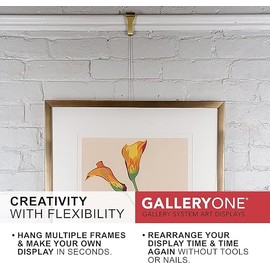 Picture Rail Molding Hook Art Hangers, Gallery Quality, Instantly Adjustable: Choose Brushed Brass or Stainless Steel Hangers with 6.5-Foot Cables (5 Molding Hooks, 5 Picture Hooks Brass)