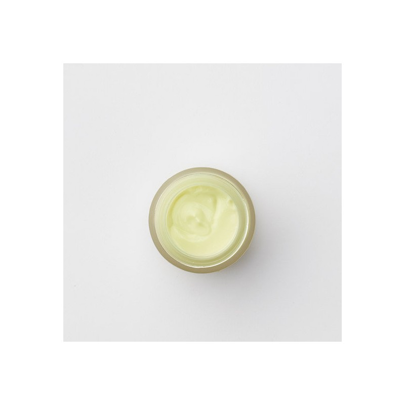 Carol Priest Avocado Fruit Moisturizing Cream 50g / 아보카도 프룻