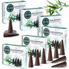 Eucalyptus Incense Cones - Total 60 Cone Incense - Six Packs of 10 Insence Cones - Incense Cones Scented - Cone Incense Scents - Insense Cones - Inscent Cones