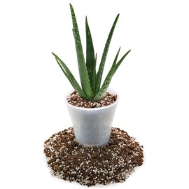 Gardenera - 1QT - Premium Aloe Vera Potting Soil Mix