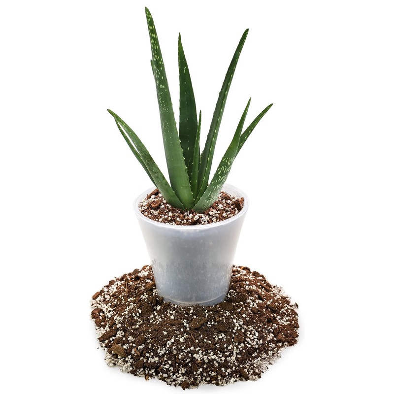 Gardenera - 1QT - Premium Aloe Vera Potting Soil Mix