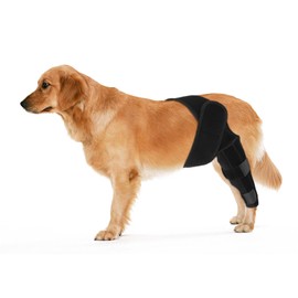 Dog Rear Leg Braces, Dog Leg Braces for Back Leg Dog ACL Brace Hind Leg Dog Knee Brace for Dog ACL Brace Hind Leg (Black, Size L)