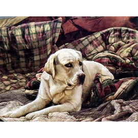 Peck and Gartner GRACIOUS LIVING by Sueellen Ross 16"x12.25"