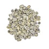 Natural Dakota Deer Antler Beads/Slices (Crafts, Jewelry Making, Beading Supplies)
