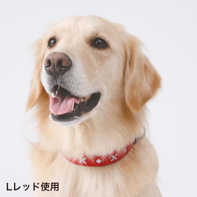 Petio Collar Basic Plus Cross Diamond Collar Red for Large