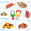 Food Feeder Baby Fruit Pacifier (3 Pcs) with 6 Different