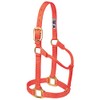 Weaver Leather Average Horse or Yearling Draft Original Non-Adjustable Halter,