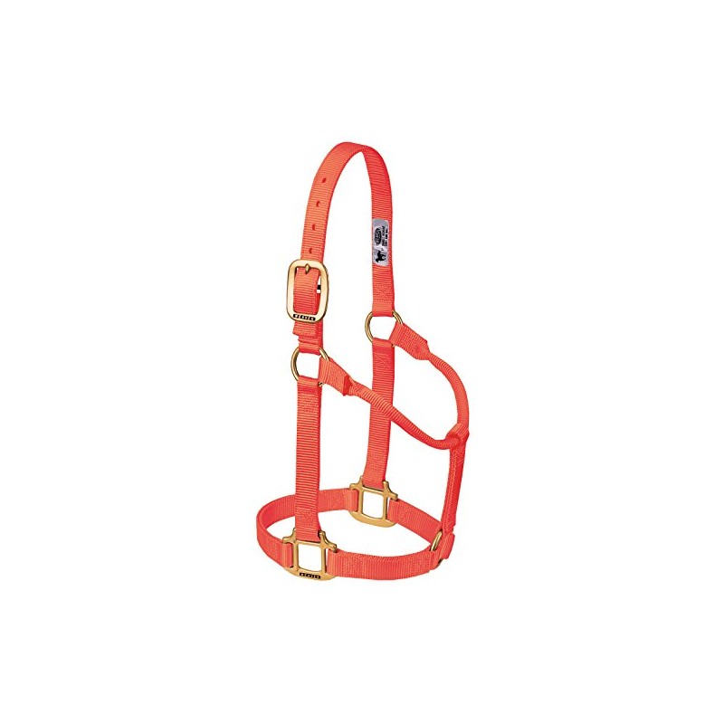 Weaver Leather Average Horse or Yearling Draft Original Non-Adjustable Halter,