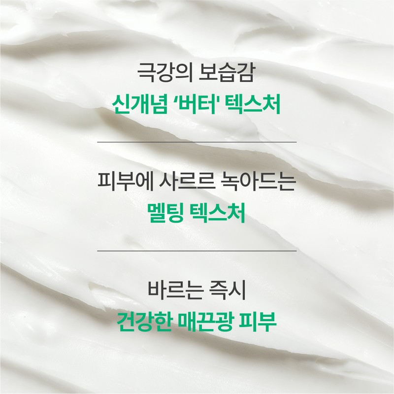 Innisfree [이니스프리]그린티 세라마이드 크림 50ml (튜브) Innisfree Green Tea Ceramide