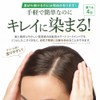 Sastty Hair Color Treatment for Gray Hair (Dark Brown), 7.1