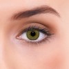 LENZOTICA Classic Braun, -0.75 Dioptrien, DIA 14.00, Monatslinsen, 2 Stück