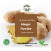 Clean Organic Ginger Powder - Zingiber officinale -100% Pure and
