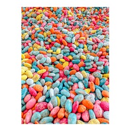 Colorful Sensory Bin Filler Themed and Seasonal Beans (Summer, 4 Cups)