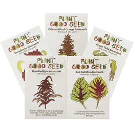 Plant Good Seed Organic Amaranth Seed Collection - Five Packets/600 Seeds Each: Chinese Giant, Dreadlocks, Green Tails, Red Dye, Callaloo - Heirloom Planting Vegetables Gardening Supplies Grain Flower