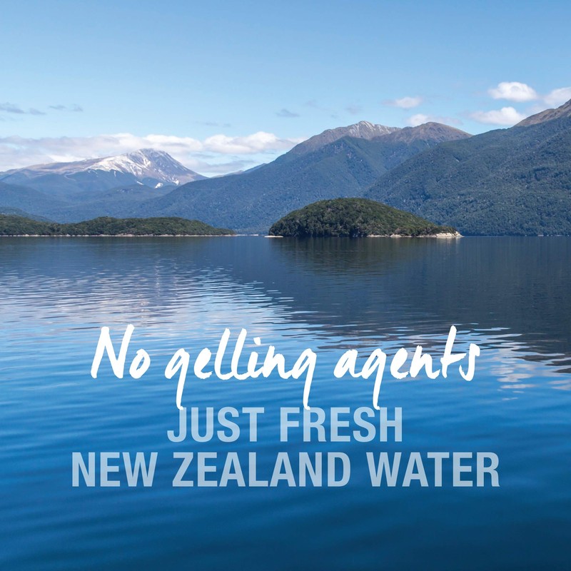 ケーナインナチュラル ドッグフード プレミアム缶 チキン 170g