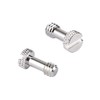 CAMVATE Standard 1/4"-20 Slotted Screw 17mm Long (2 Pieces) -