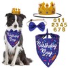 PTDECOR Dog Birthday Party Supplies, Birthday Boy Dog Bandana Golden