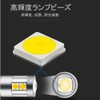 Explosive Light T10 LED Position Lamp/Room Lamp/License Plate Lamp, 3030