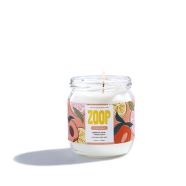 Zoop Pet Odor Eliminating Candle - 100% Natural- Pet Odor Eliminator for Home - Non-Toxic and Eco-Friendly Air Freshening Scented Candles
