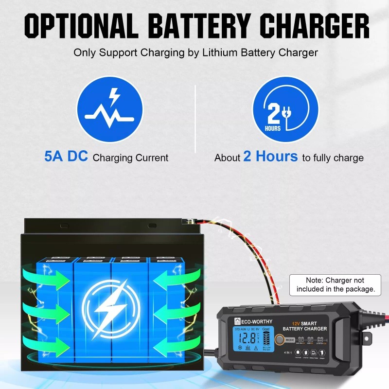 ECO-WORTHY 12V 10Ah Lithium LiFePO4 Deep Cycle Battery with 3000+