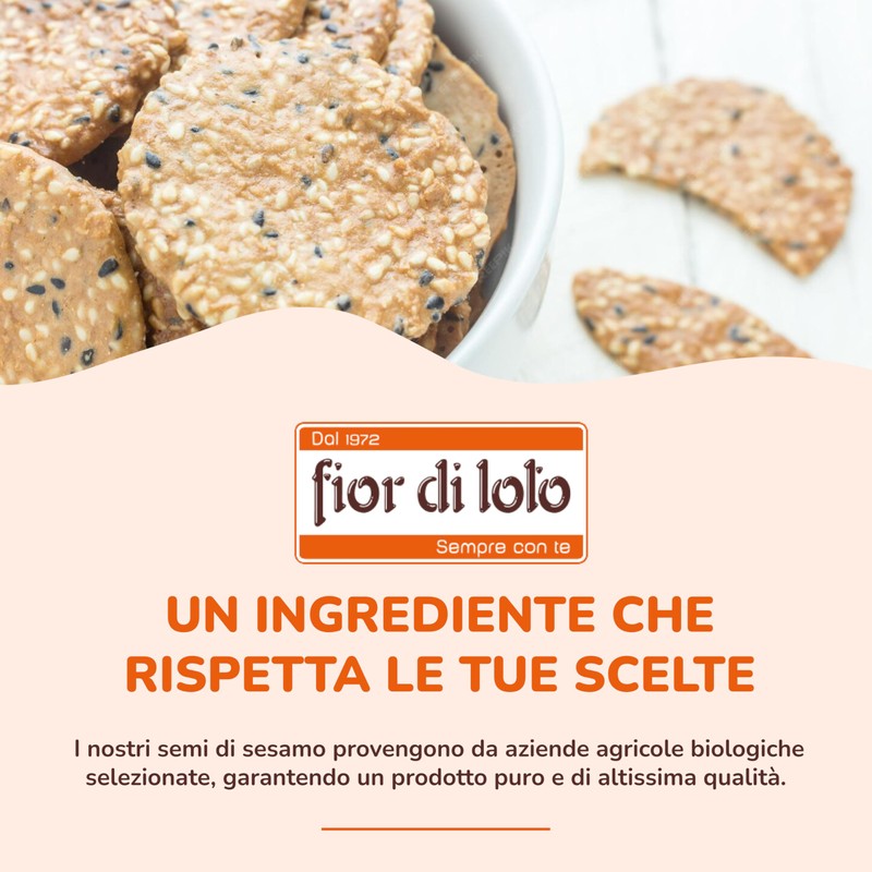 Fior di Loto Semi di Sesamo Bio - Ricco di